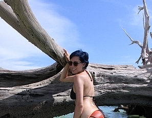 Tree beach